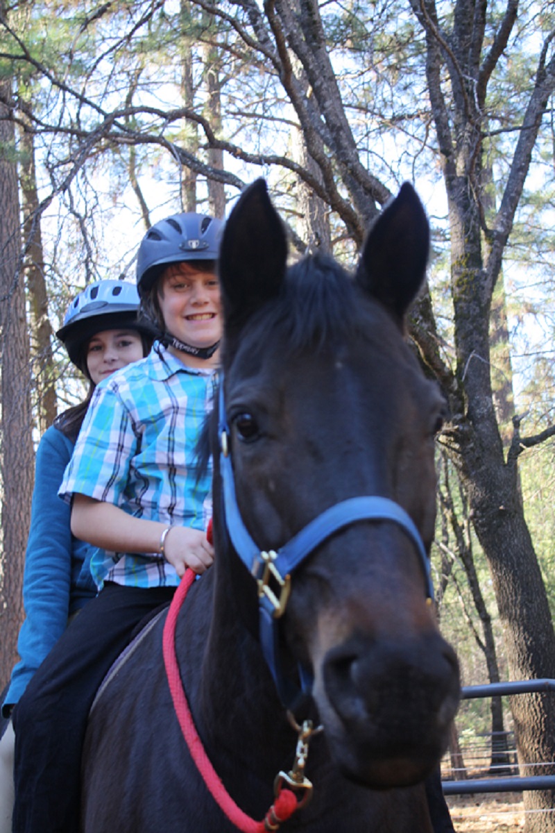 Horseback Games » Lightfoot Horse Farm
