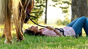 Lightfoot Horse Farm