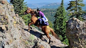 endurance riding
